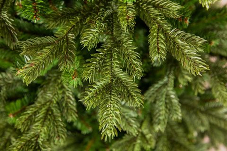 Ель Шервуд Премиум 215см зеленая Triumph Tree