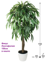 Искусственное дерево Фикус Лонгифолия 150см в кашпо