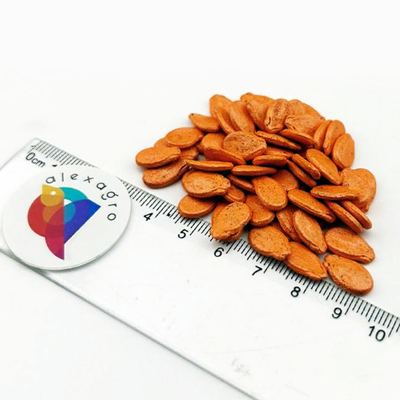 ЮЛИЯ F1 семена арбуза (Nunhems | Alexagro) – фото 4