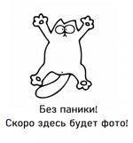 Дверь-купе ARISTO Н, зеркало, профиль золото матовое