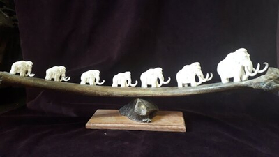 Композиция "Семь мамонтов", рог лося, ребро и кость мамонта
