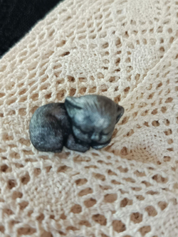 Брошь Спящий котенок черный авторская из полимерной глины ручной работы