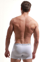 Мужские удлиненные трусы-боксеры (Размер: XXL) (Цвет: белый)