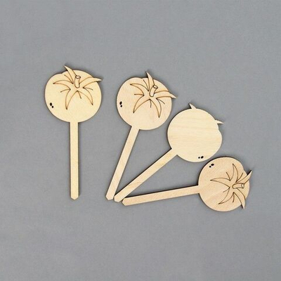 Набор из 8 деревянных садовых табличек в форме томатов (Цвет: не задано)