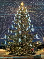 Светодинамическая елка ствольная со скамейкой, встроенная гирлянда: Холодный свет - "Лесная" Литая хвоя - от 6 до 18 м