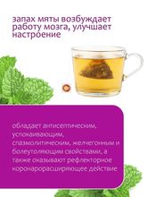 Мята (25 пирамидок)