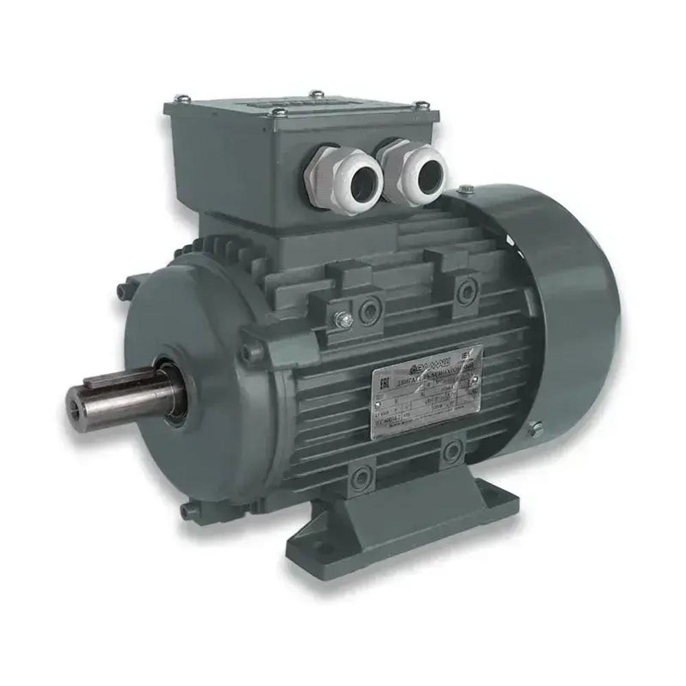 Электродвигатель ЭЛМАШ АИС 100 L2 IM1081 (B3) AL (3 кВт 3000 об/мин)