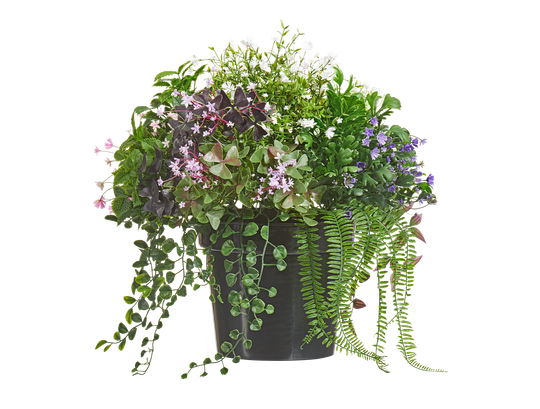 Дизайнерские композиции