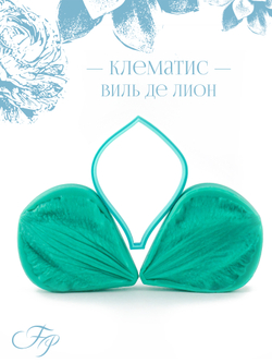 Клематис Виль Де Лион