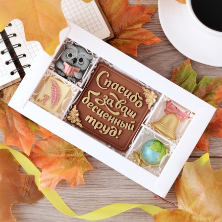 Набор "Спасибо за труд" с совой