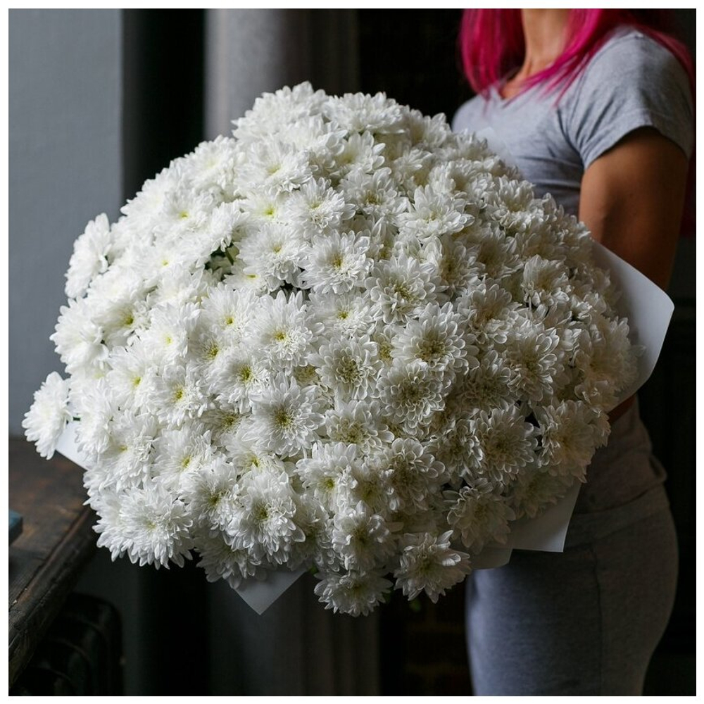 Хризантема кустовая