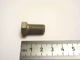 Болт10x 18x1,25 петли двери 2108  (ОАО «БелЗАН»)