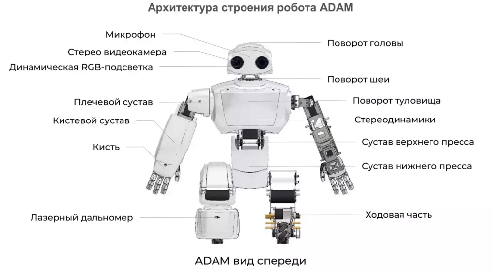 Персональный робот АДАМ v2.7.s