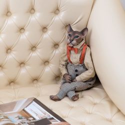 Кукла коллекционная Кот Бруно