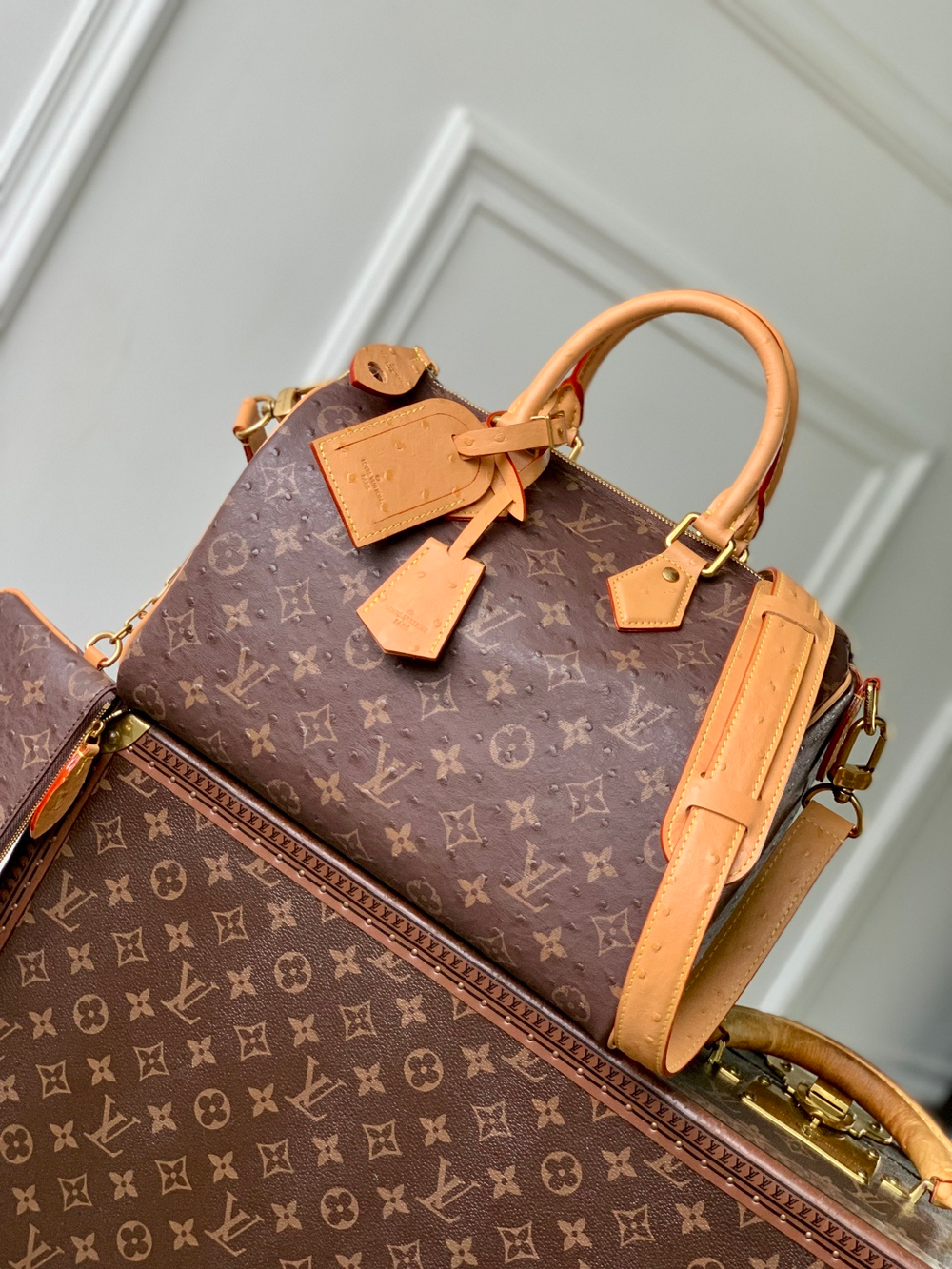 Louis Vuitton Speedy P9 Bandouliere 30