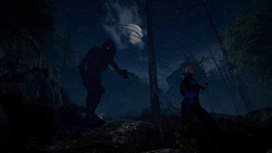 Through the Woods: Collector's Edition (для ПК, цифровой код доступа)