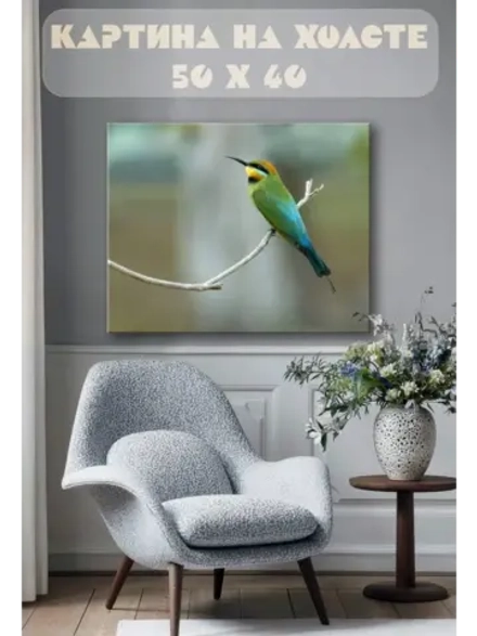 Картина на стену 40 X 50 Цветная птица
