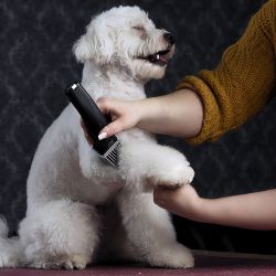 Машинка для стрижки животных Moser Arco Pro (1876-0063)