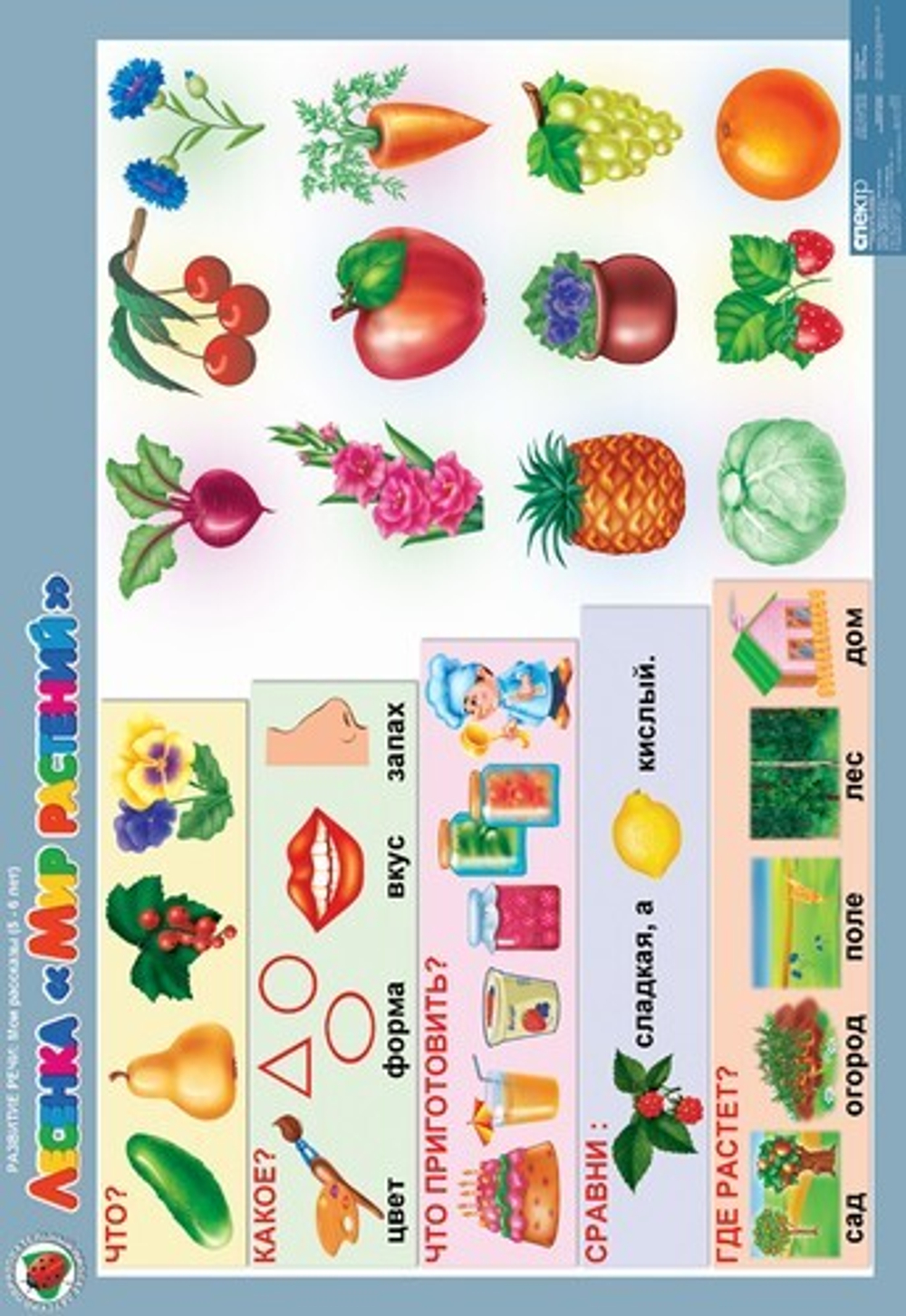 Комплект таблиц Развитие речи 5-6 лет "Мои рассказы" (8 таблиц+16 карт.)