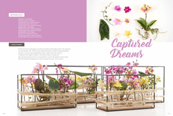 Techniques for floral beauty