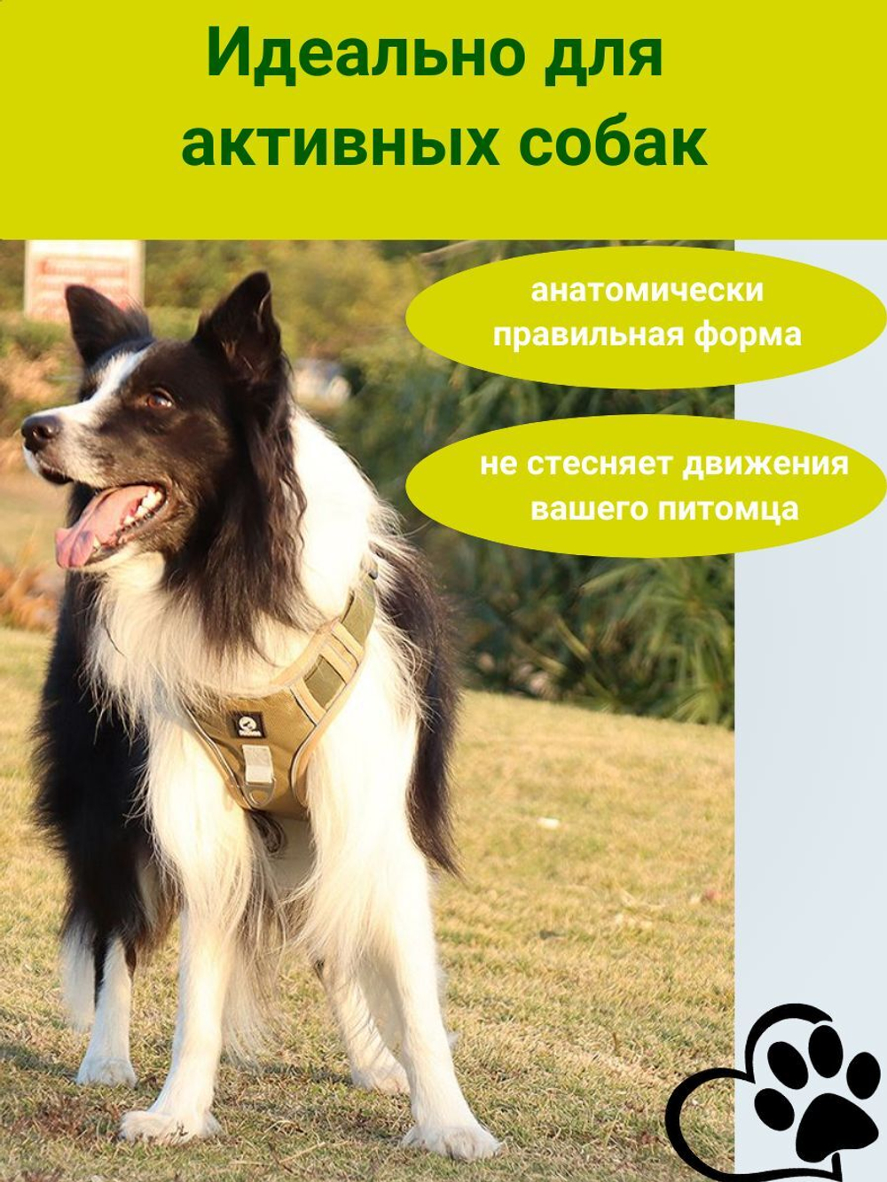 Шлейка для собак средних и крупных пород, универсальная, прогулочная, для дрессировки со светоотражателем, жилет-трансформер, черный размер XL