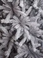 Заснеженная елка «Арктико» (Литая хвоя) 180 см / 1.8 м