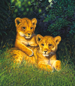 Коллекция Животные