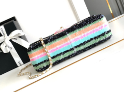 Chanel Bag 25 cm