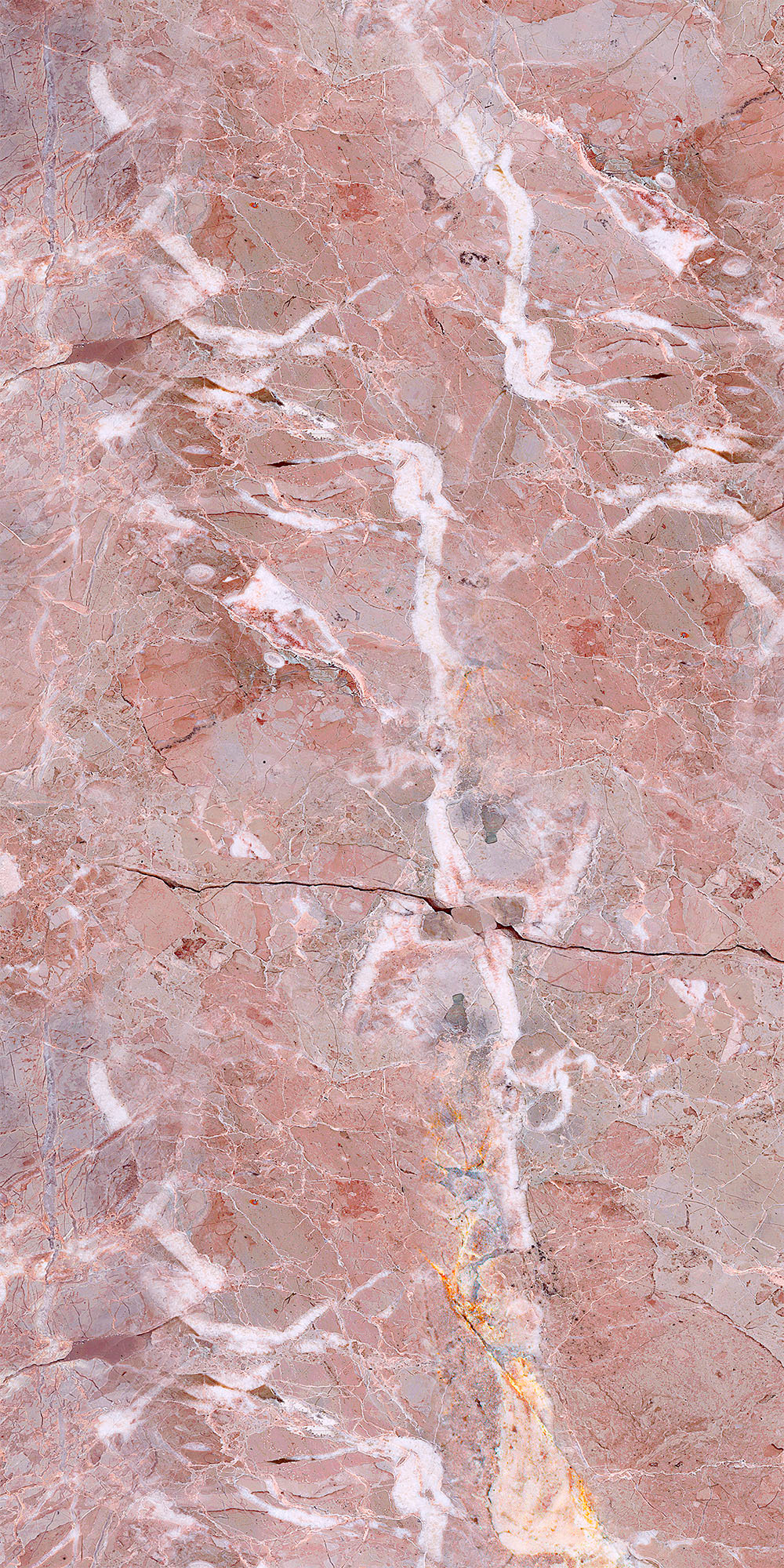 Ветка Сакуры