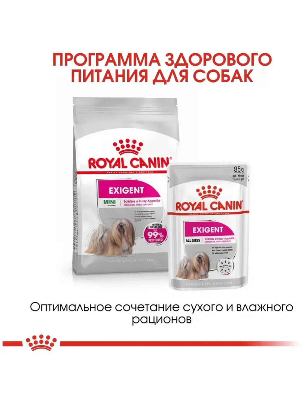 Royal Canin Mini Exigent (Роял Канин Мини Эксиджен) корм сухой для привередливых собак 3 кг.