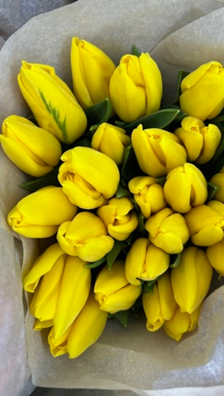 Микс тюльпанов 15 шт.