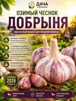 Чеснок озимый Добрыня 300 г, посадочный материал, семенной чеснок, крупные зубки, морозостойкий сорт