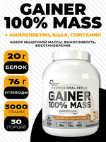 100% MASS GAINER