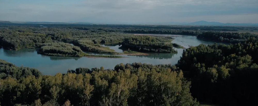 Кружка большая фарфоровая без ручки с цитатами В.М. Шукшина на бересте.