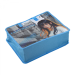 Папка с ручками 1 отделение, А4 265х335х120мм, Alingar, пластик, ручки тесьма, дизайн с двух сторон, молния сверху, "Confidently"