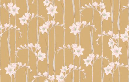 Gladiolus