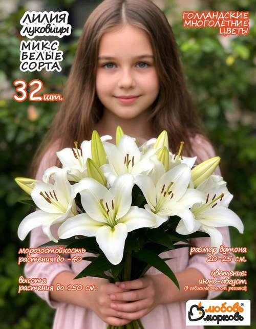 Лилия Луковица, Микс белые сорта, 32шт