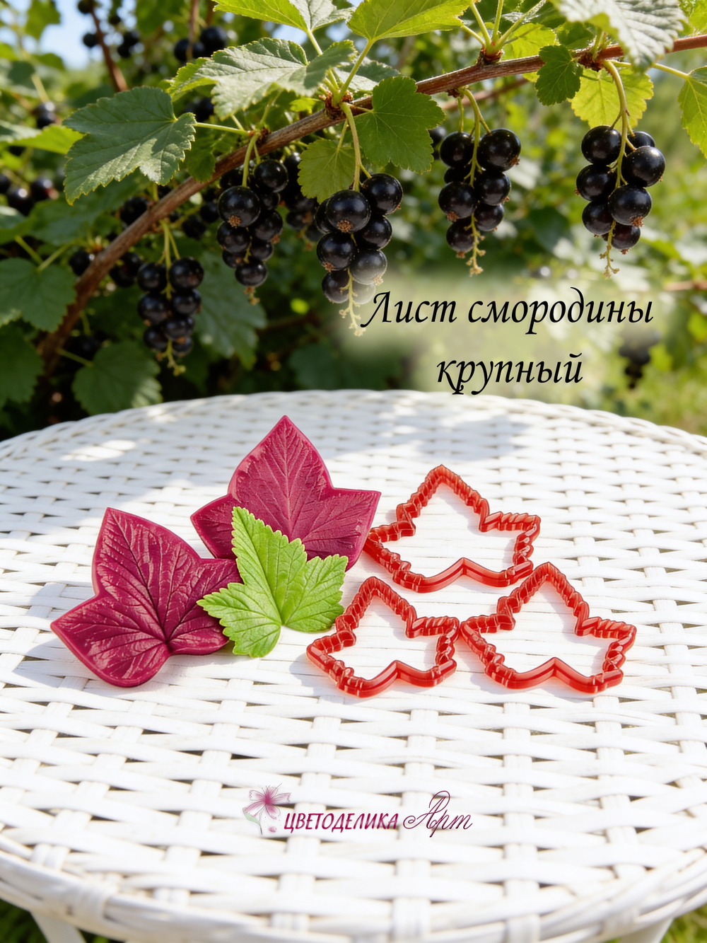 Лист смородины крупный