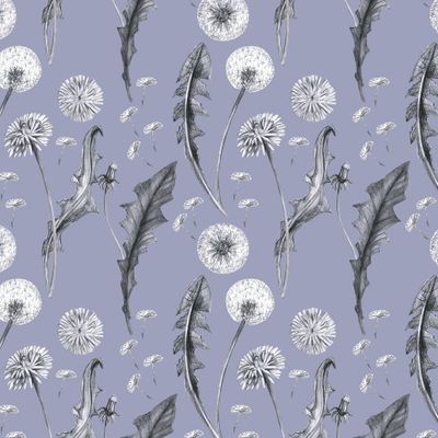 Одуванчики 5