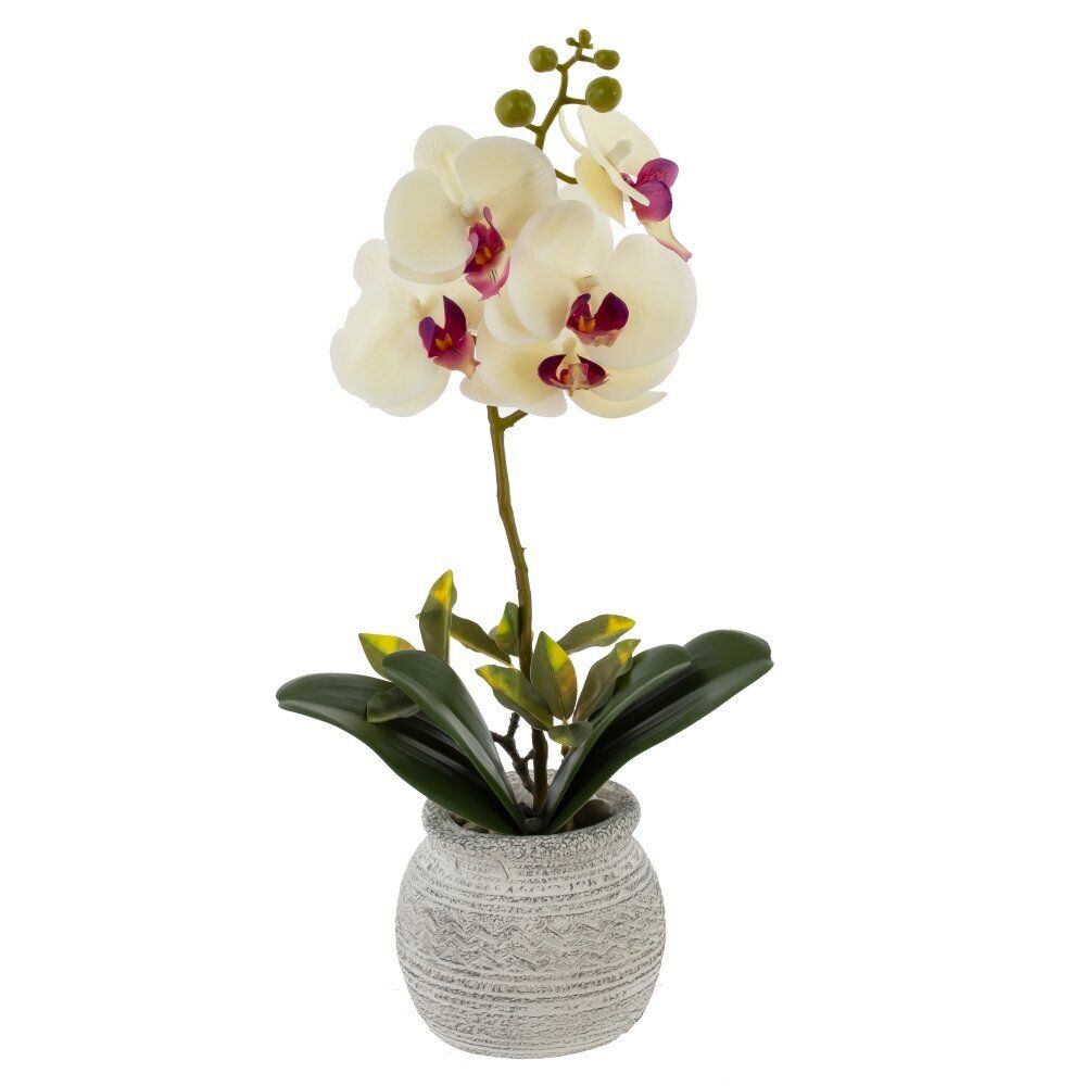 GAEM Цветочная композиция "Орхидея", L18 W15 H34 см