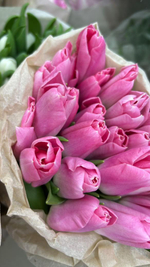Розовые тюльпаны 15, 21, 33, 51 шт
