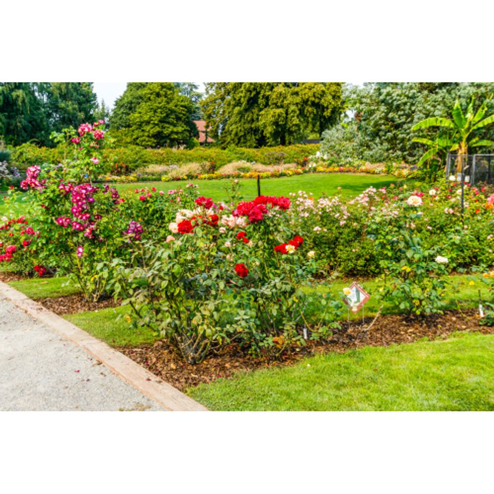 Тележка для шланга GF GF80605770 пластиковая для мешков | Аксессуары для полива Green Apple