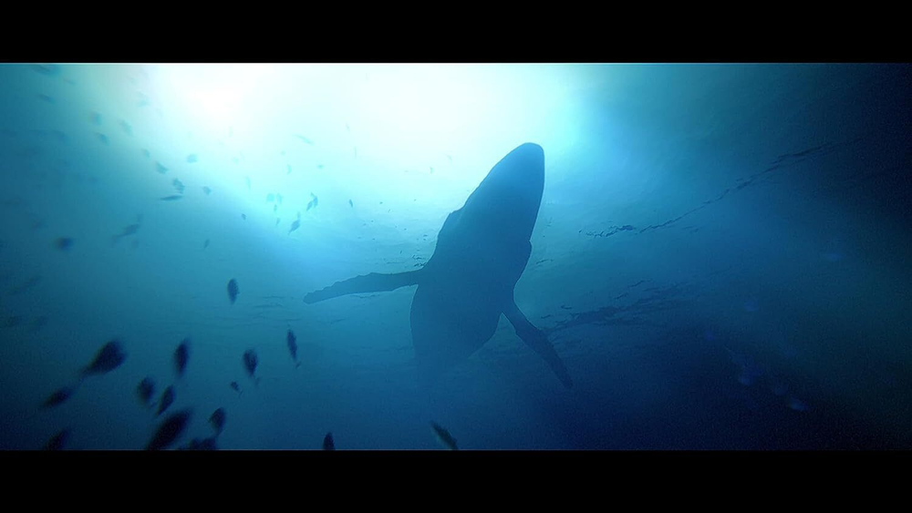 Игра Under The Waves (Русская версия) для PlayStation 4
