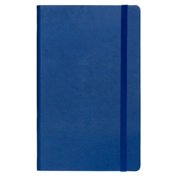 V62VI890 electric blue