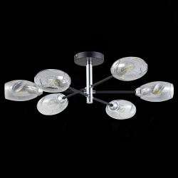 Светильник потолочный Evoluce Gloa SLE155512-06