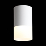 ST100.502.05 Светильник потолочный Белый LED 1*5W 3000K 390Lm Ra&gt;80 120° D64xH110 170-240V Накладные светильники