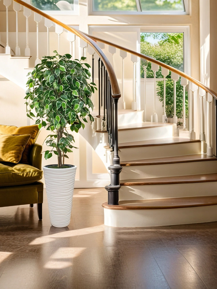 Искусственное дерево Фикус Пестрый 170 см в высоком круглом белом кашпо