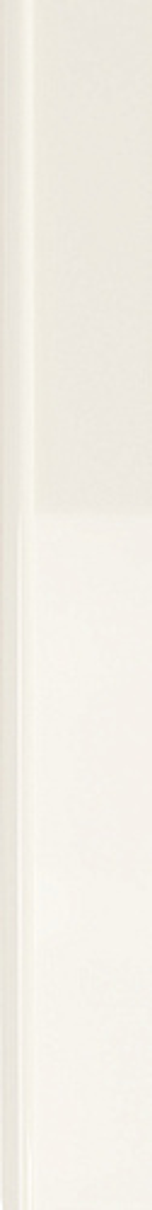 Керамическая плитка для стен WOW FACES Coast White Gloss 5х40