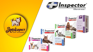 Акция Inspector Quadro K и Quadro Tabs