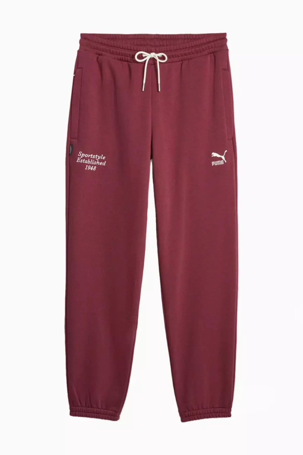 Штаны Puma Team